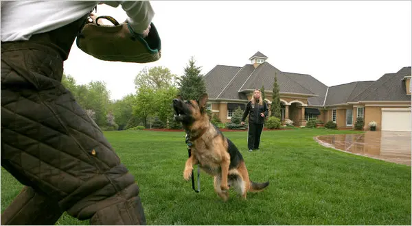 Can dogs be trained to protect their owners?